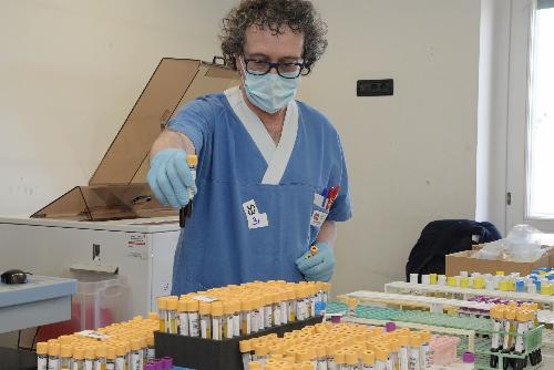 Trattamento dei test molecolari con saliva al Laboratorio DAI dell'ospedale Maggiore di Trieste